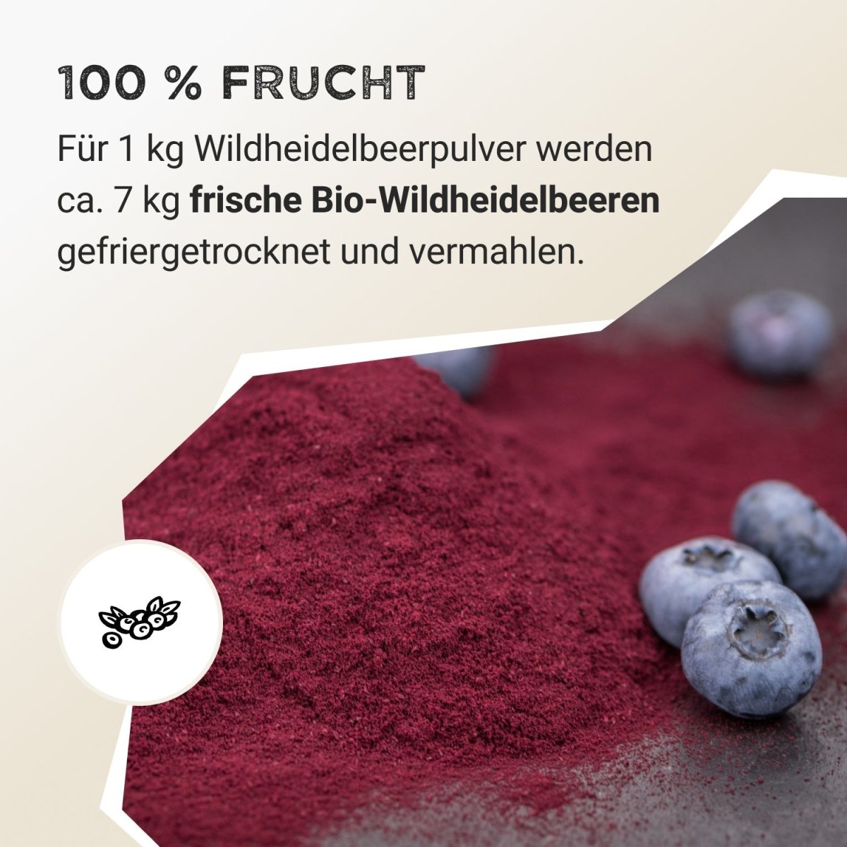 Fruit Powder - Wild Blueberry