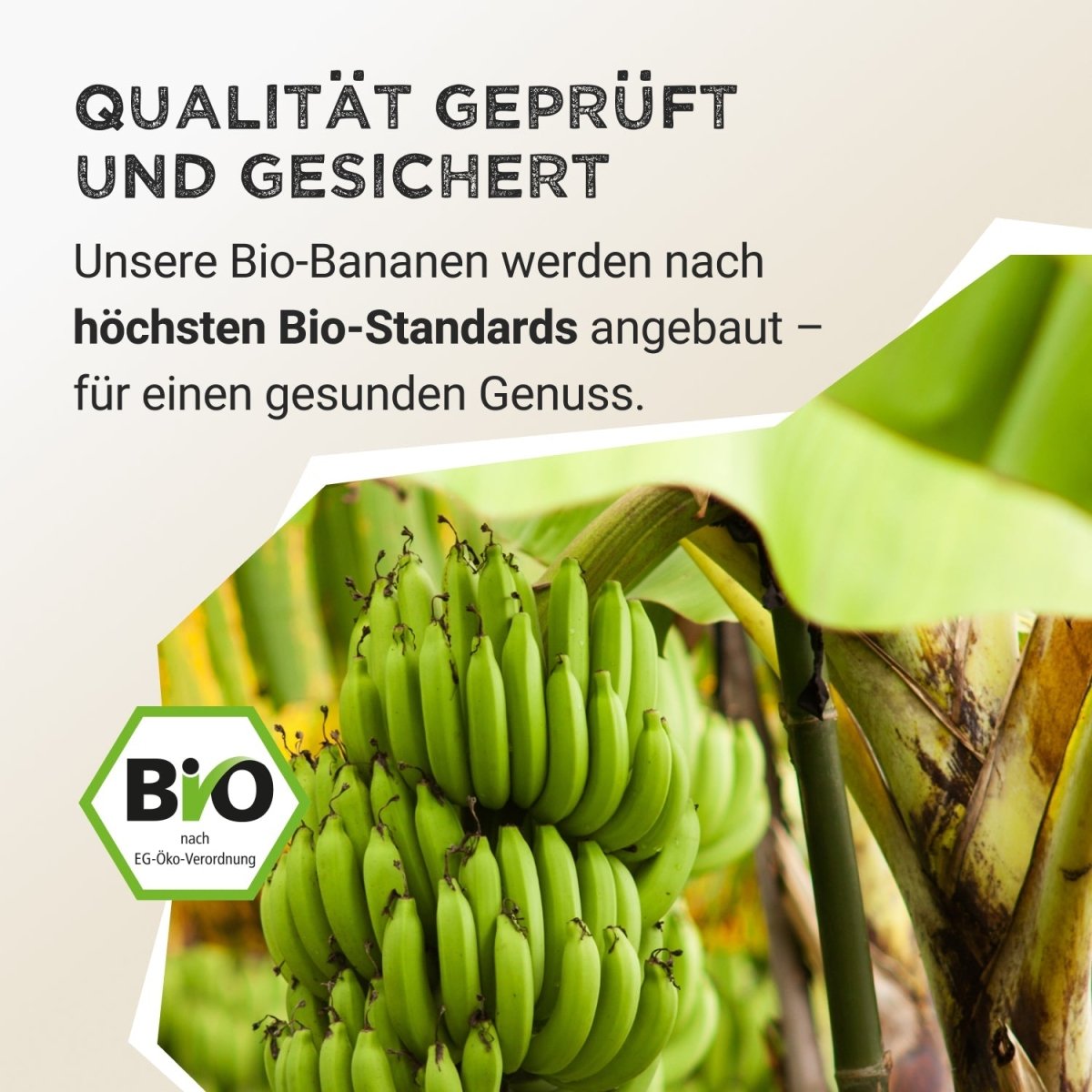 Fruit Powder - Banana