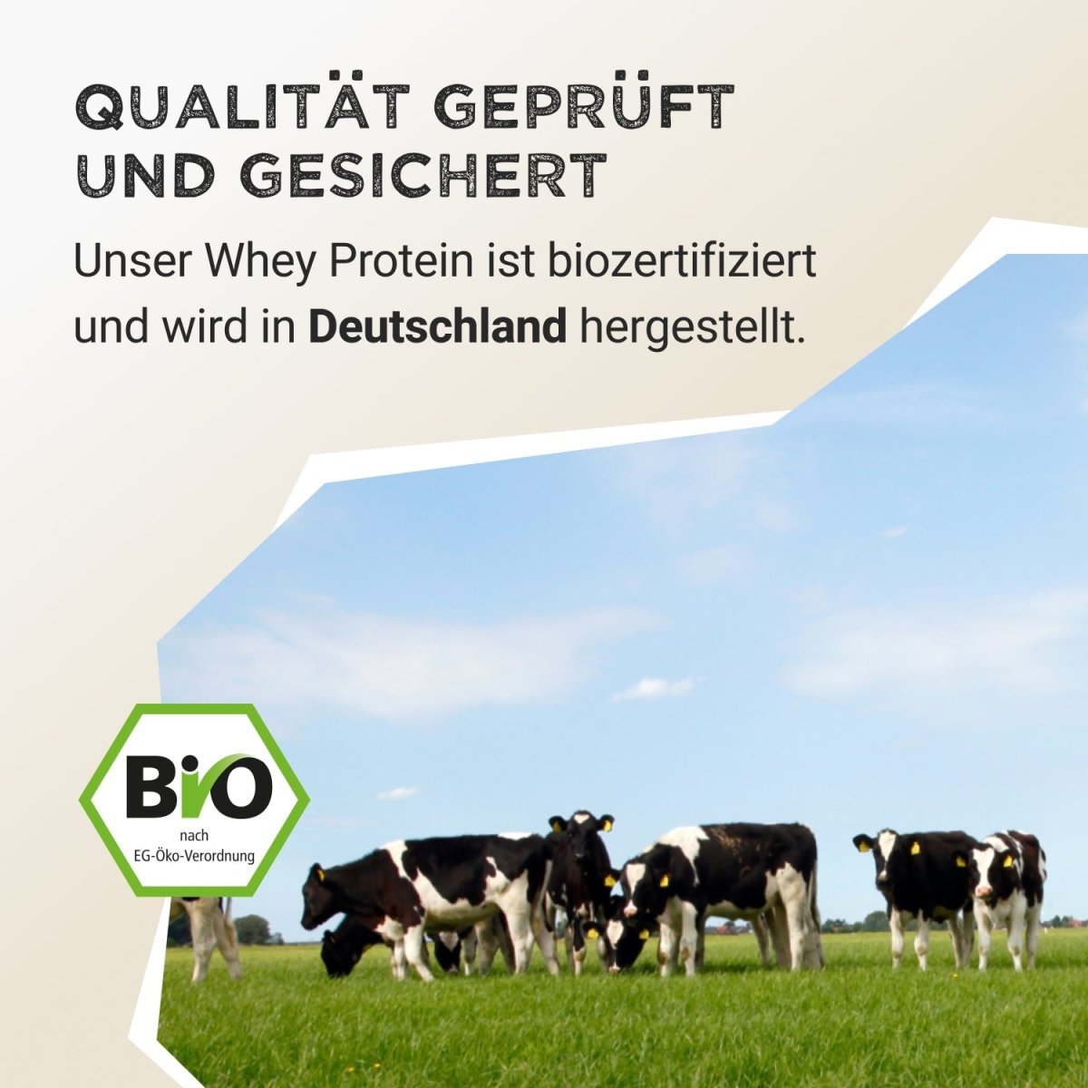 Bio Slim Food - Vanilla